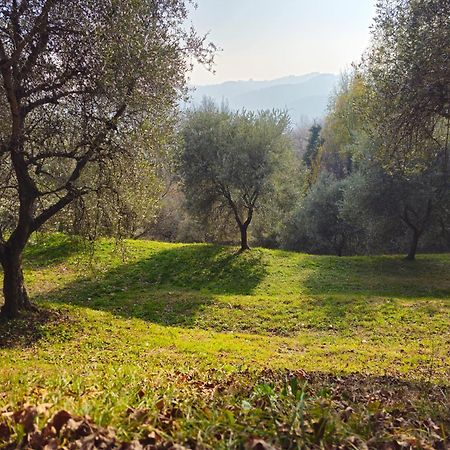 B&B Ca'Baracca Bellavista Bassano del Grappa Eksteriør bilde