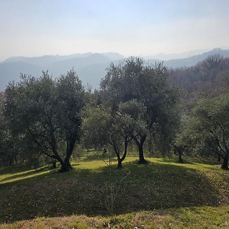 B&B Ca'Baracca Bellavista Bassano del Grappa Eksteriør bilde