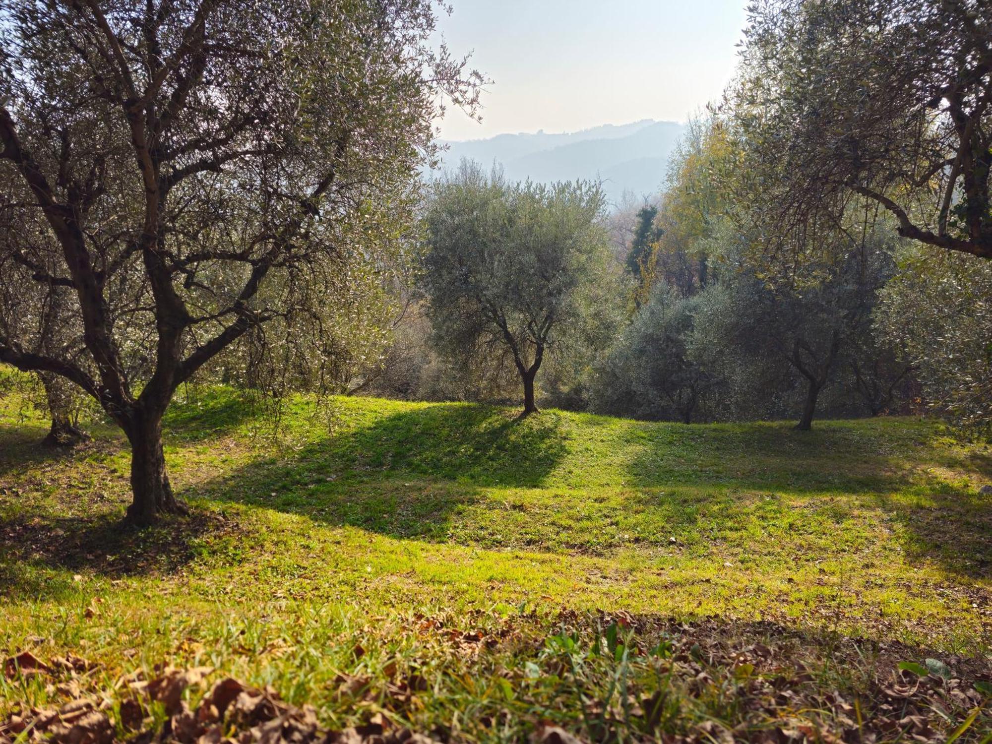 B&B Ca'Baracca Bellavista Bassano del Grappa Eksteriør bilde
